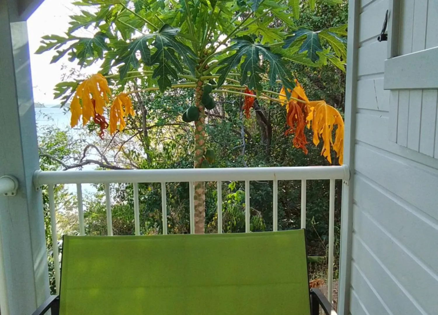 Maison Tamarin Bouillante Holiday home